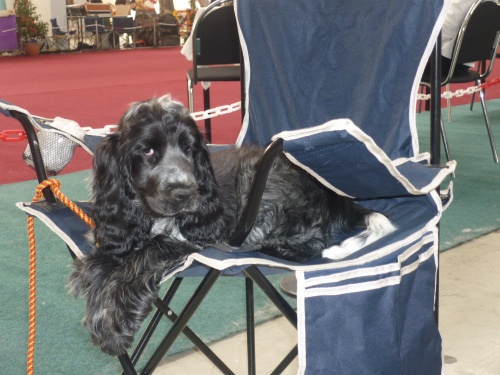 Bery 19.6.2010(2).jpg